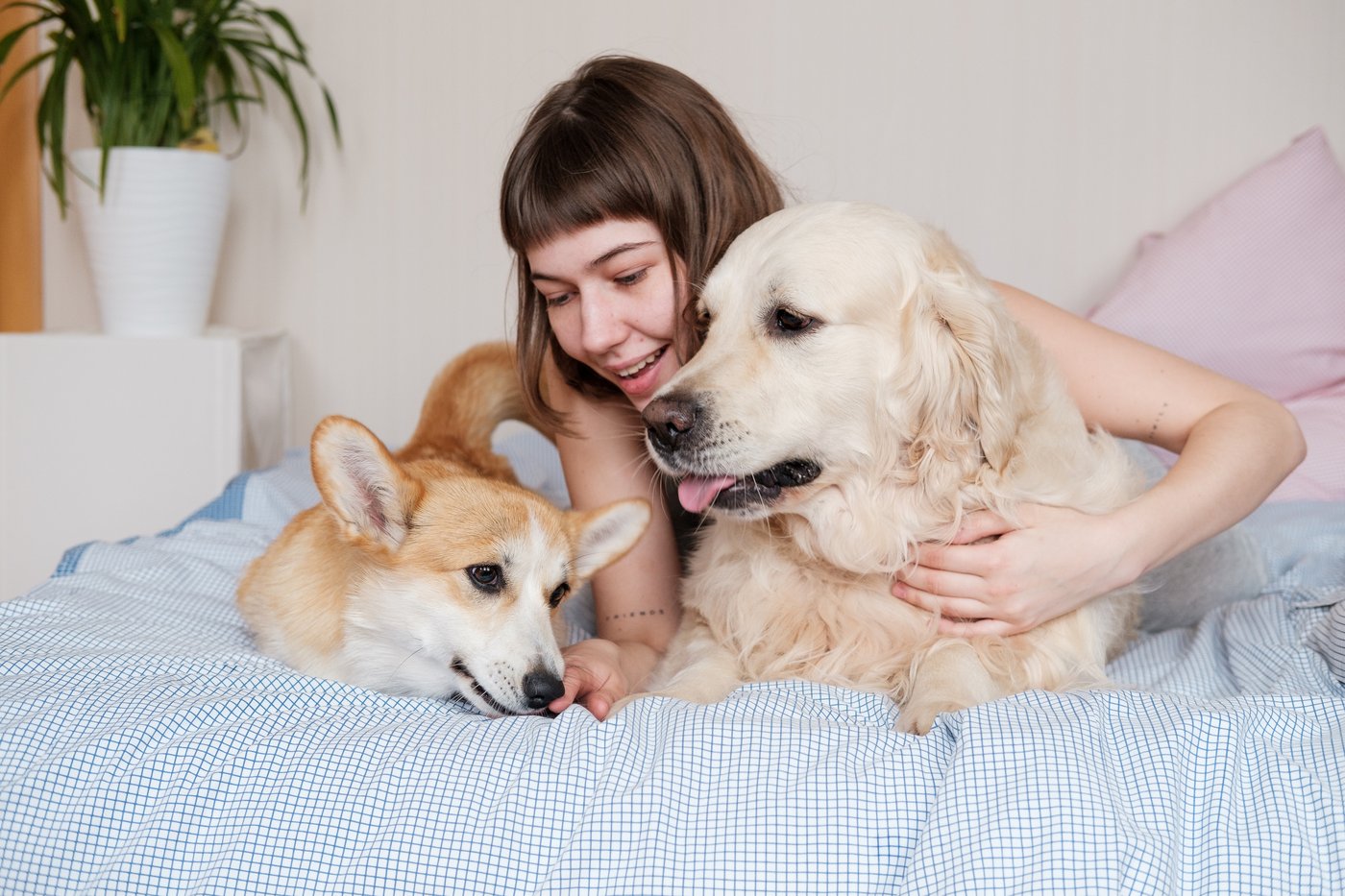Pawpular Moments — Good Chews Happy Moments
