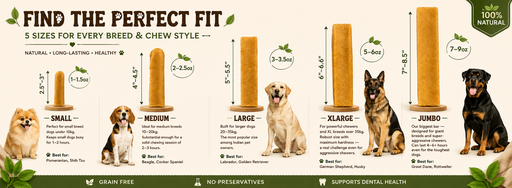 From the Himalayas to Your Home — Pawpular Moments