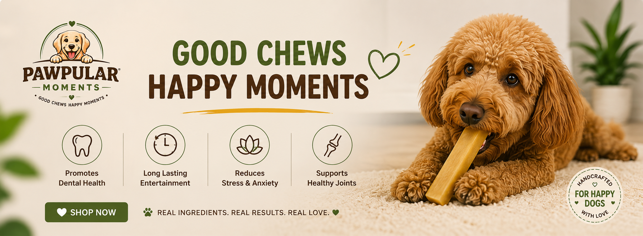 Perfect Size for Every Dog — 5 Sizes